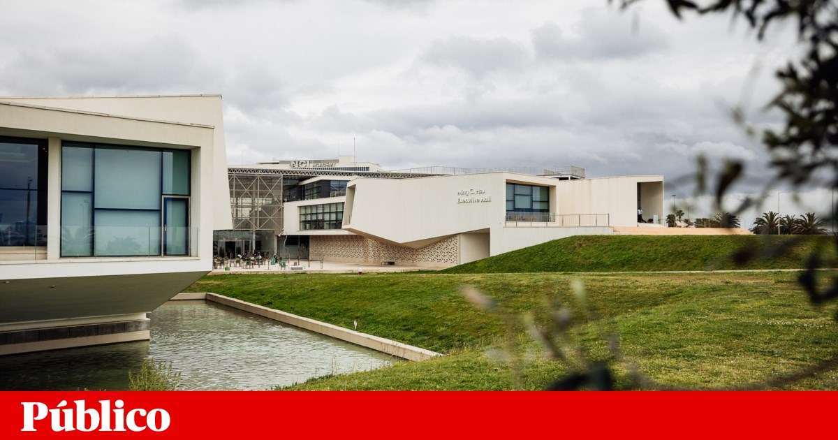 Nova chose a rector six months ago, now the court says the elections must be repeated