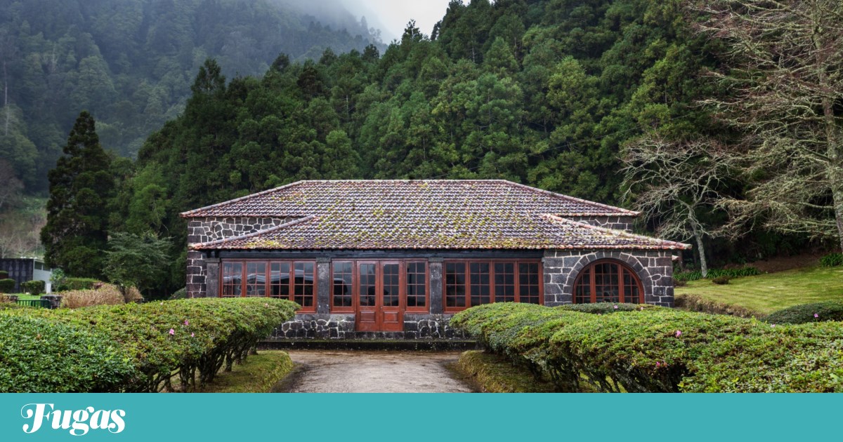 São Miguel: former tea house at Furnas Lake opens as Camélia Delicatessen