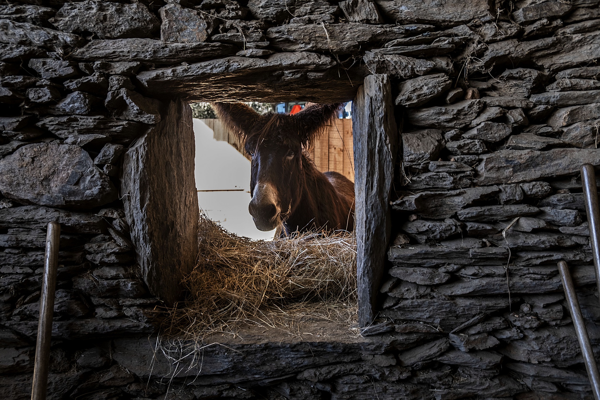 ROTEIRO PELO CONCELHO DE MIRANDA DO DOURO
AEPGA BURROS DE MIRANDA EM ATENOR