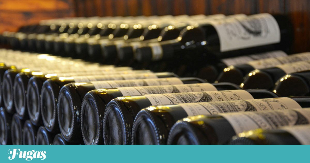 Public Prosecution Service investigates Oeno wine brokerage scheme