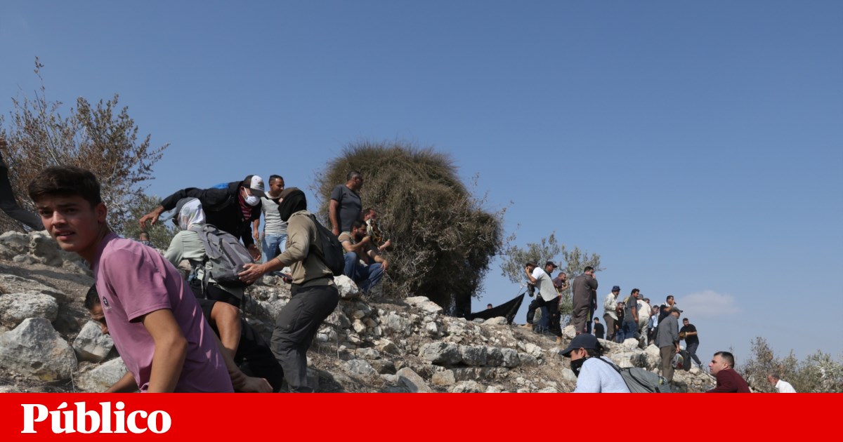 Portuguese activist allegedly beaten by Israeli settlers in the West Bank