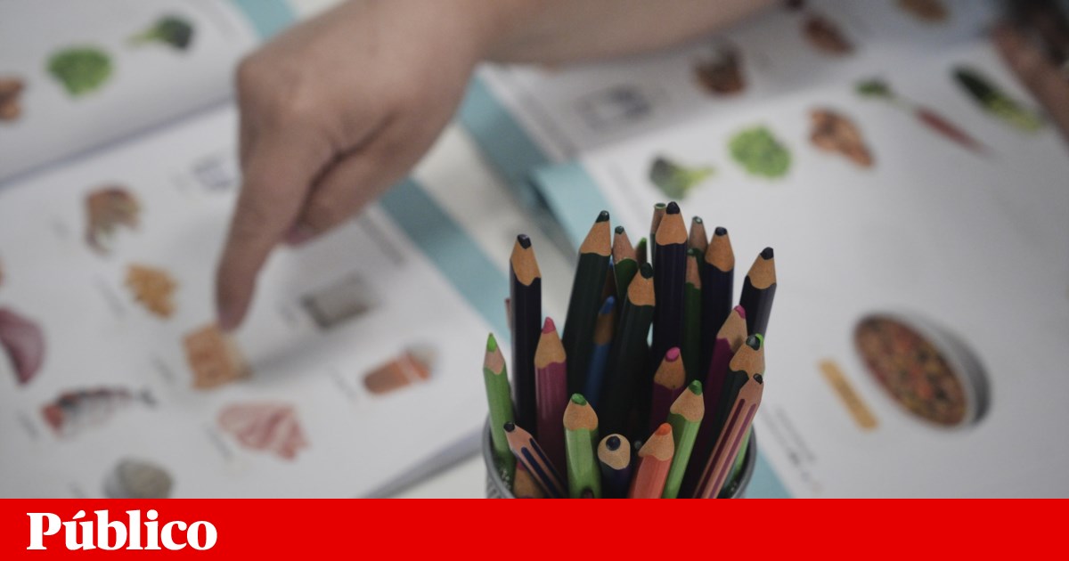 Psychologists and specialized technicians with contracts remain in schools awaiting promised public tender