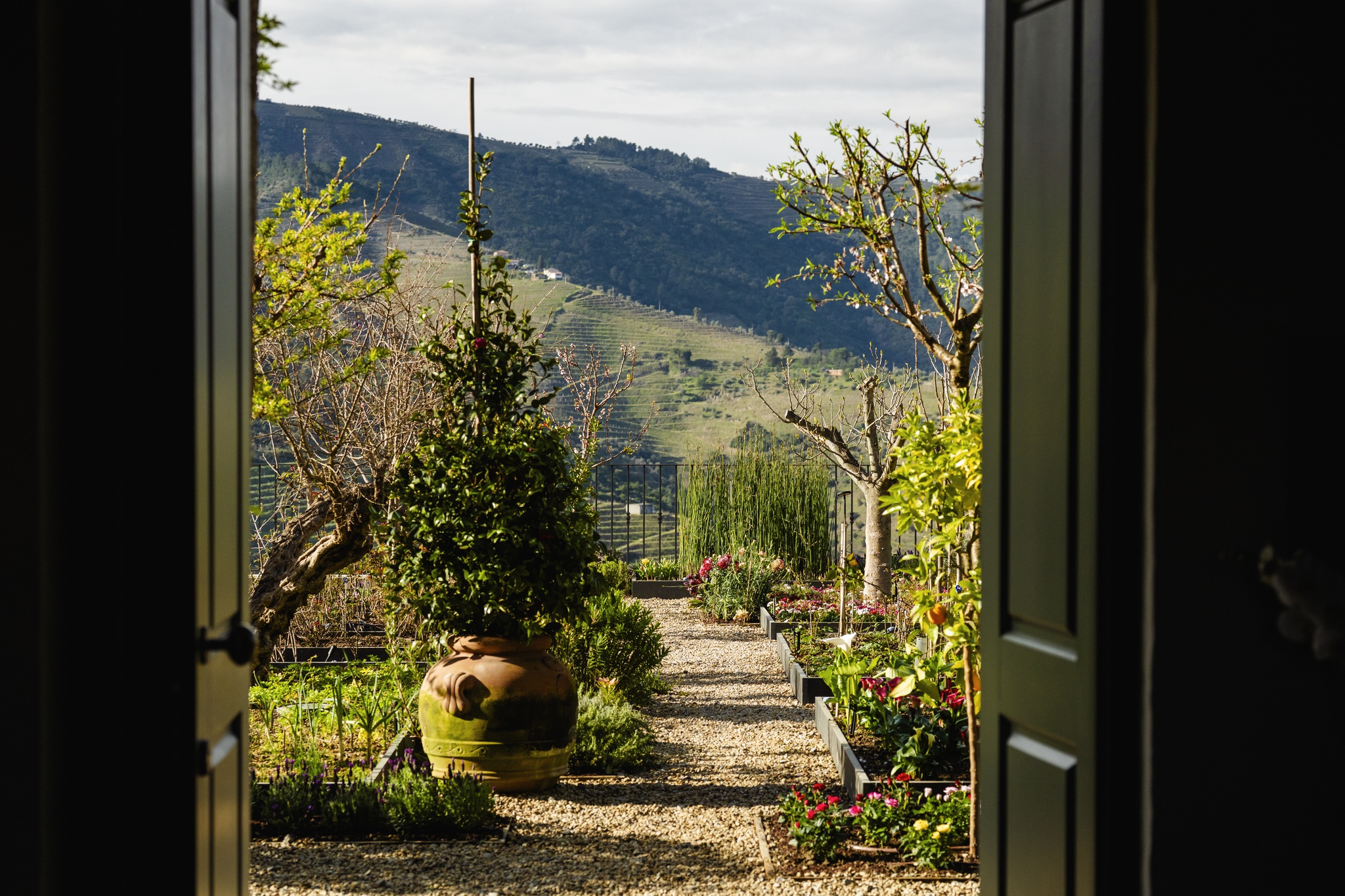 provas-vinhos,critica,vinhos,vinhos-provas,douro,fugas,