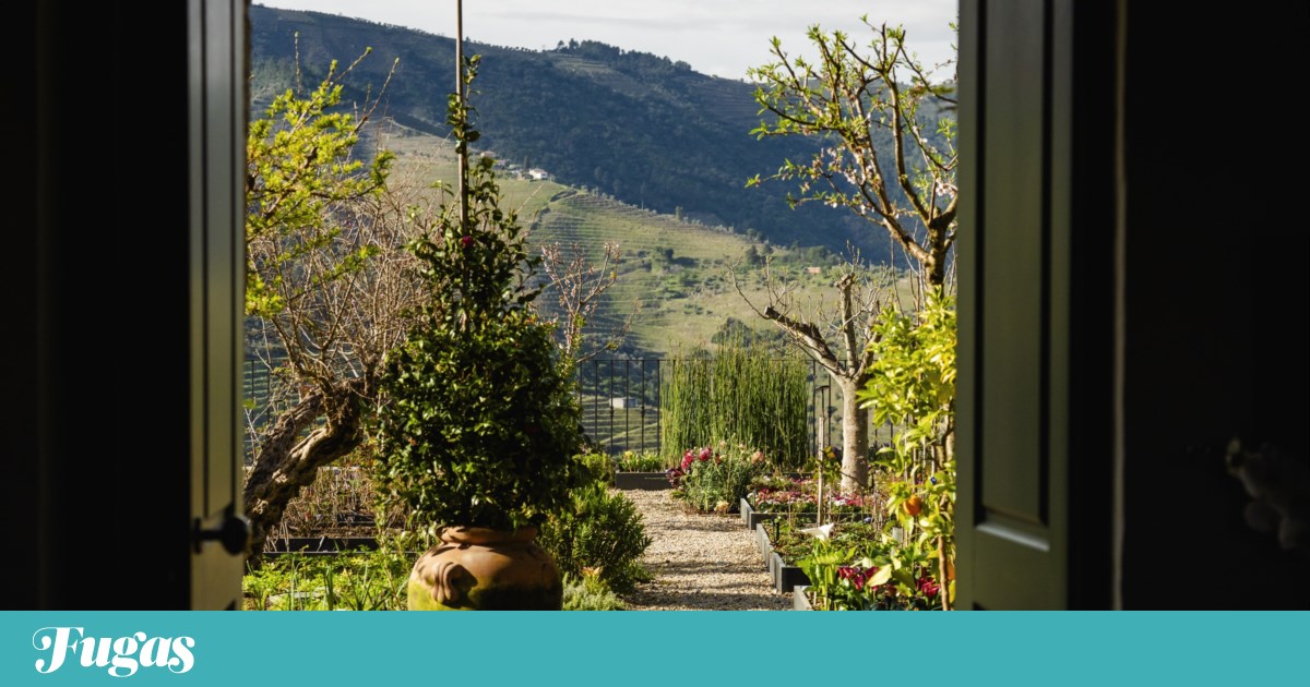 A story of love and respect for the Douro
