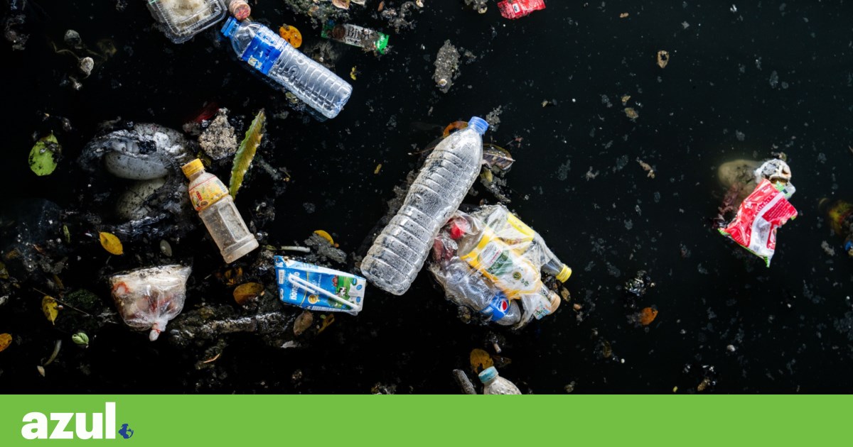 Plastic directive must 'combat the throwaway culture', warns Zero