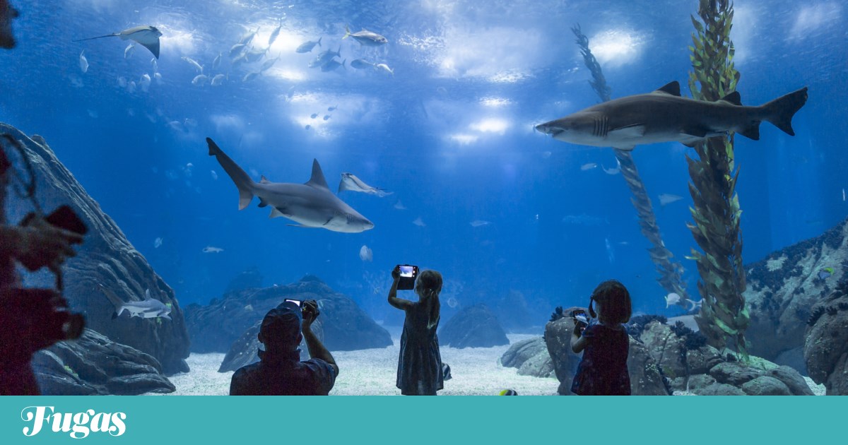 Ten ideas to toast World Water Day