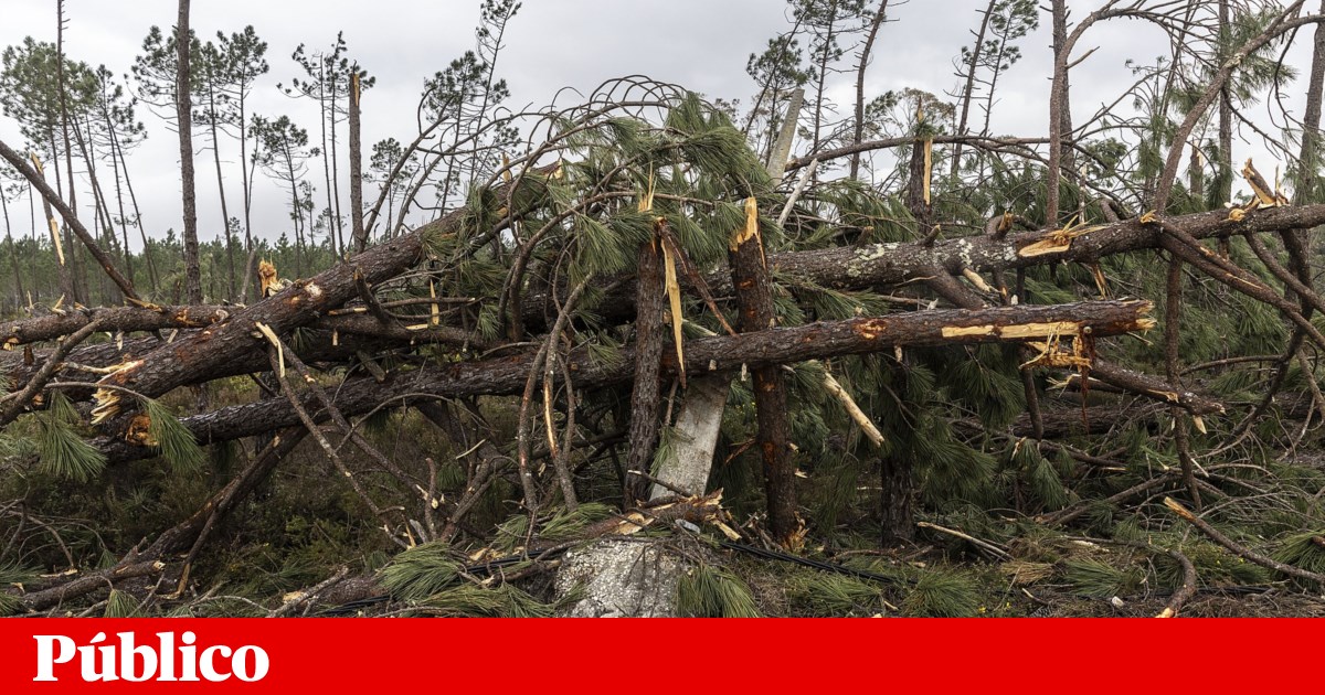 Property owners have until 30 June to clear land in municipalities covered by calamity declaration