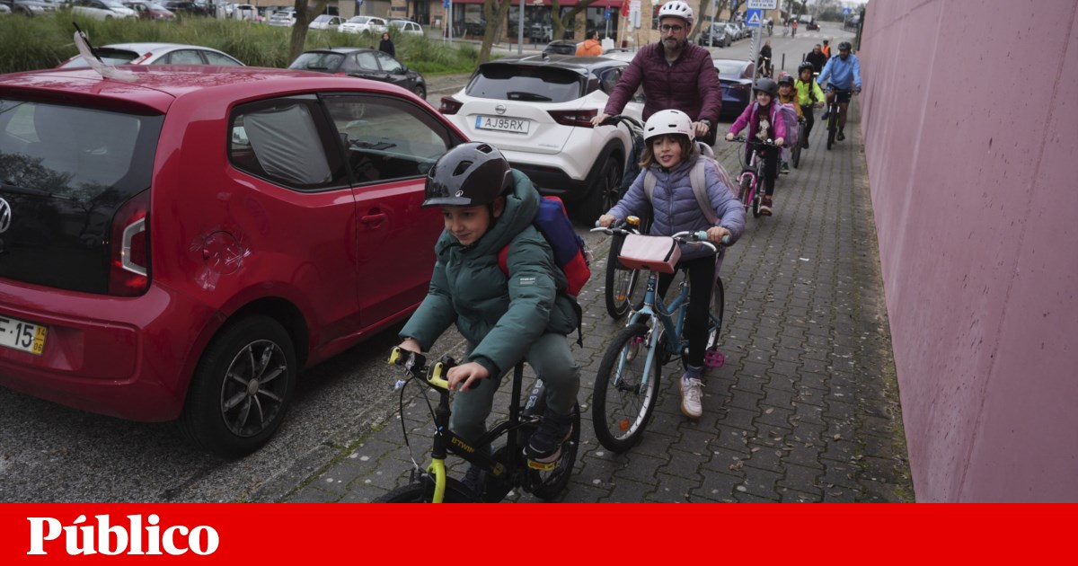 Tomás, Catarina and friends cycle to school in a 'bicycle train': the goal is to reach every school in Oeiras
