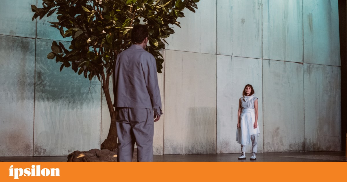 An impossible love between Jews and Arabs directed by Álvaro Correia