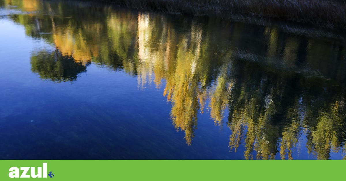 proTEJO appeals to the European Ombudsman to demand ecological flows in the Tagus