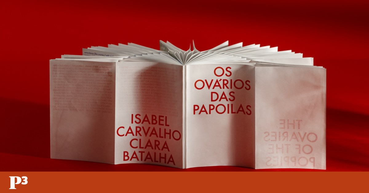 Porto-based studio Macedo Cannatà wins bronze at the German Buchkunst editorial design awards