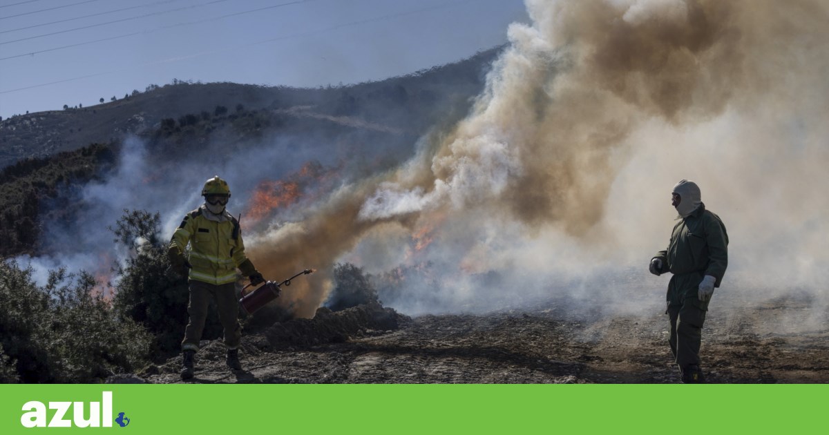 ICNF is conducting controlled burns in winter to help prevent wildfires