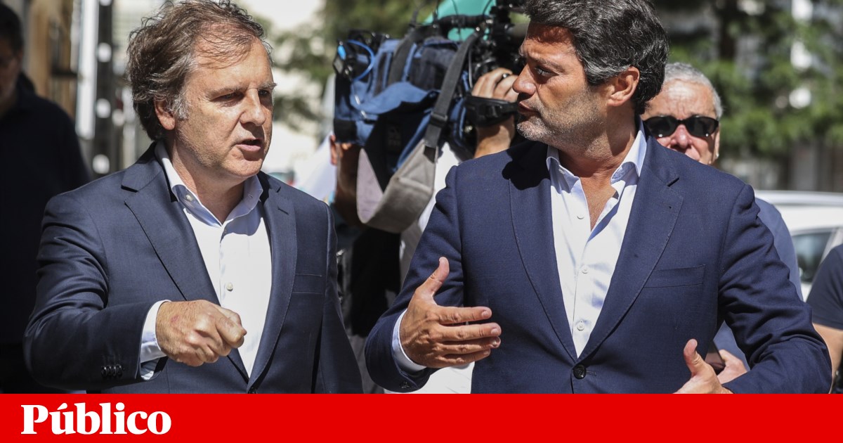Mafalda Livermore leaves Chega party amid discomfort over Ventura's silence