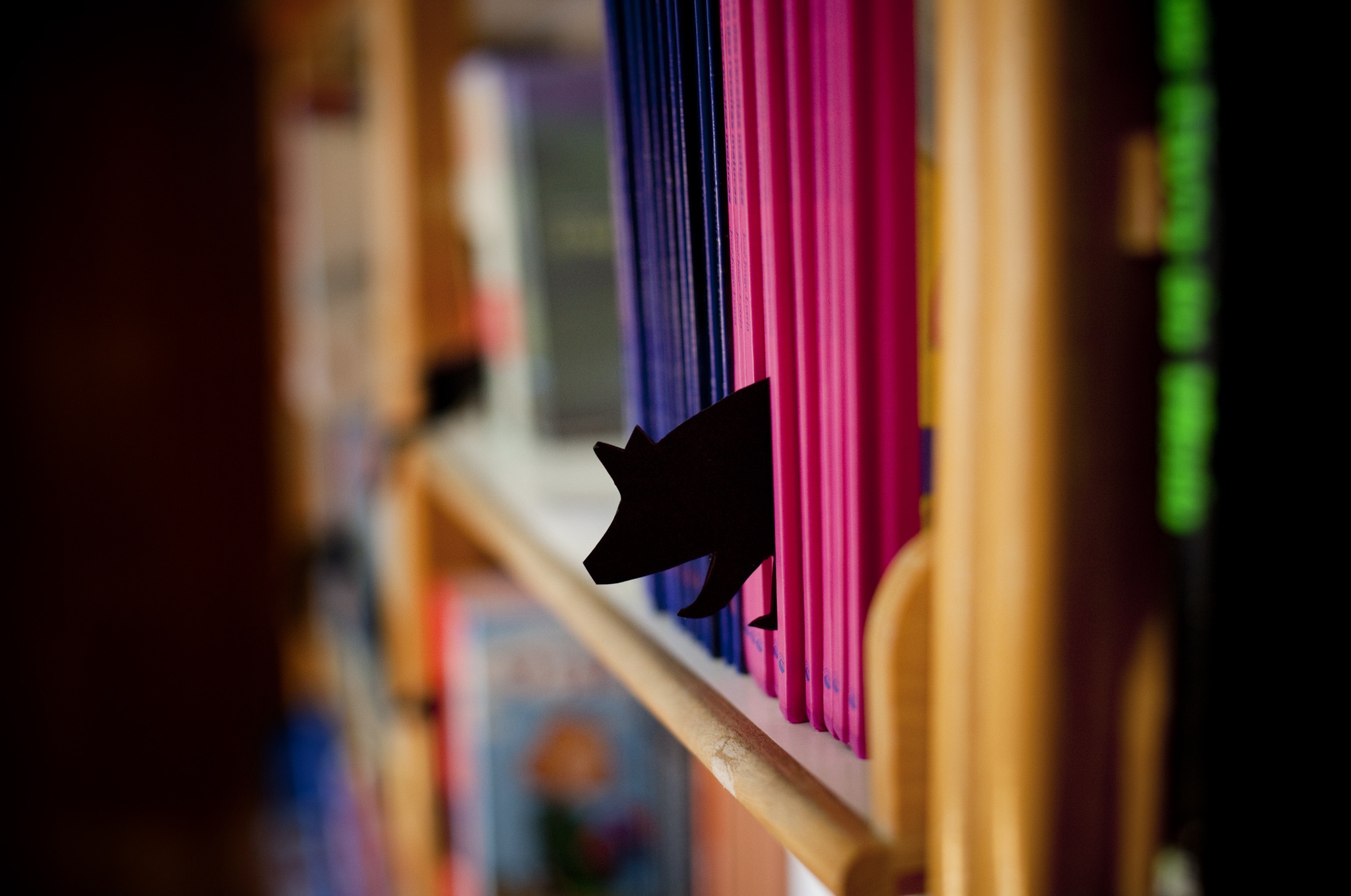 evr enric vives-rubio - 10 outubro 2012 - PORTUGAL, Oleiros - EB 2/3 - Escola Basica dos 2.? e 3.? Ciclos com Ensino Secundario de Padre Antonio de Andrade de Oleiros que ficou bem posicionada nos rankings nacionais superando qualquer espectativa - livros - biblioteca escolar