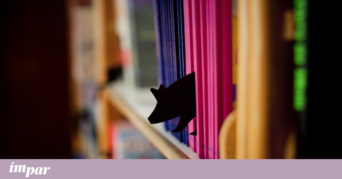 Reading is understanding: how to develop reading comprehension?
