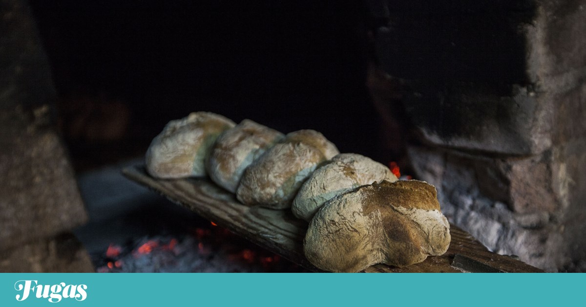 What to do this weekend? Bread, poetry, and other classics