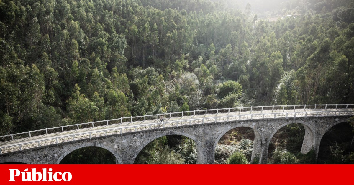 Avarias e falta de revisores: em 2 meses, CP suprimiu 97 comboios na Linha do Vouga | Comboios Avarias e falta de revisores: em 2 meses, CP suprimiu 97 comboios na Linha do Vouga | Comboios