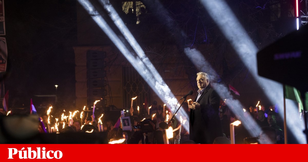 ONG húngara contesta papel de antiga intérprete de Putin em missão eleitoral | Hungria ONG húngara contesta papel de antiga intérprete de Putin em missão eleitoral | Hungria