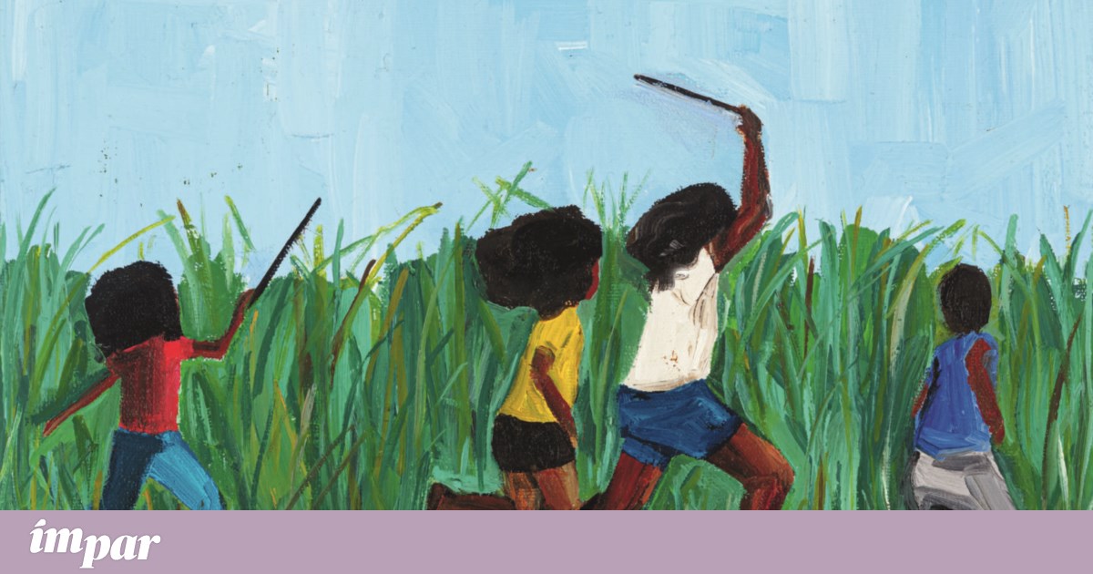 Small Print: Itamar Vieira Junior and the birds