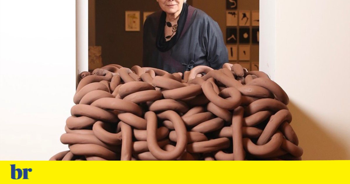 “I believe that what drives intolerance today is capital,” says Anna Maria Maiolino