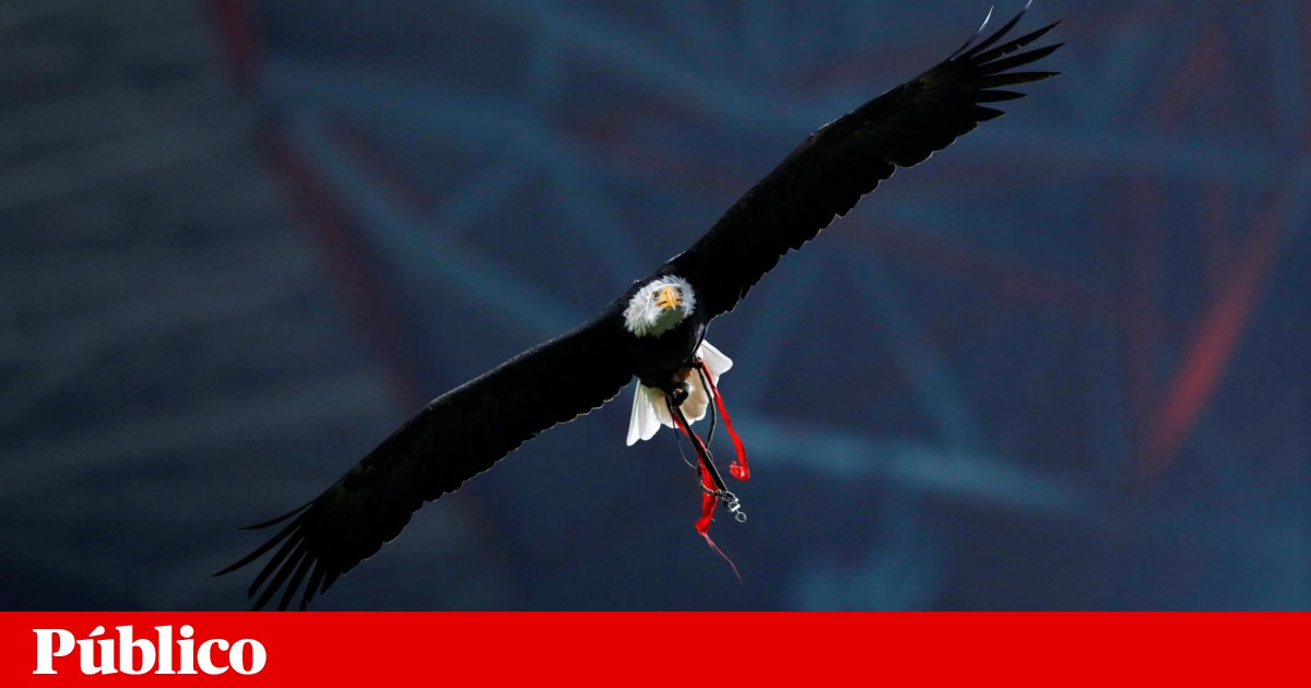 Benfica SAD enfrenta acusação de corrupção e fraude fiscal no caso dos emails | Justiça Benfica SAD enfrenta acusação de corrupção e fraude fiscal no caso dos emails | Justiça