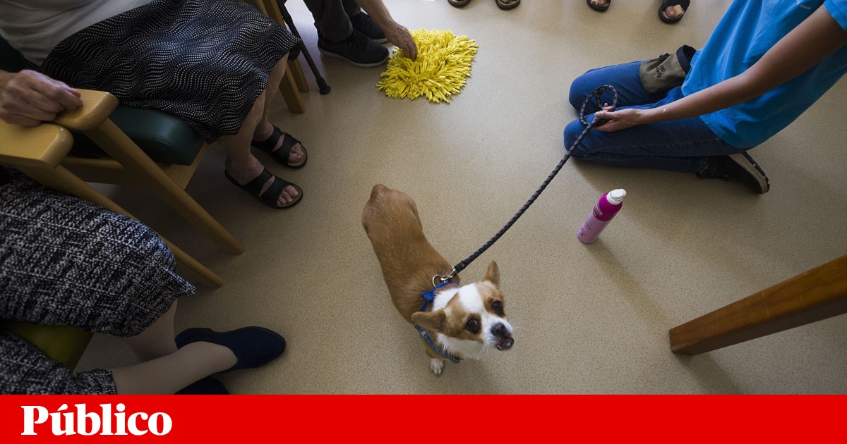 Courses for working with the elderly exist but have low demand: "We have been asleep for years"