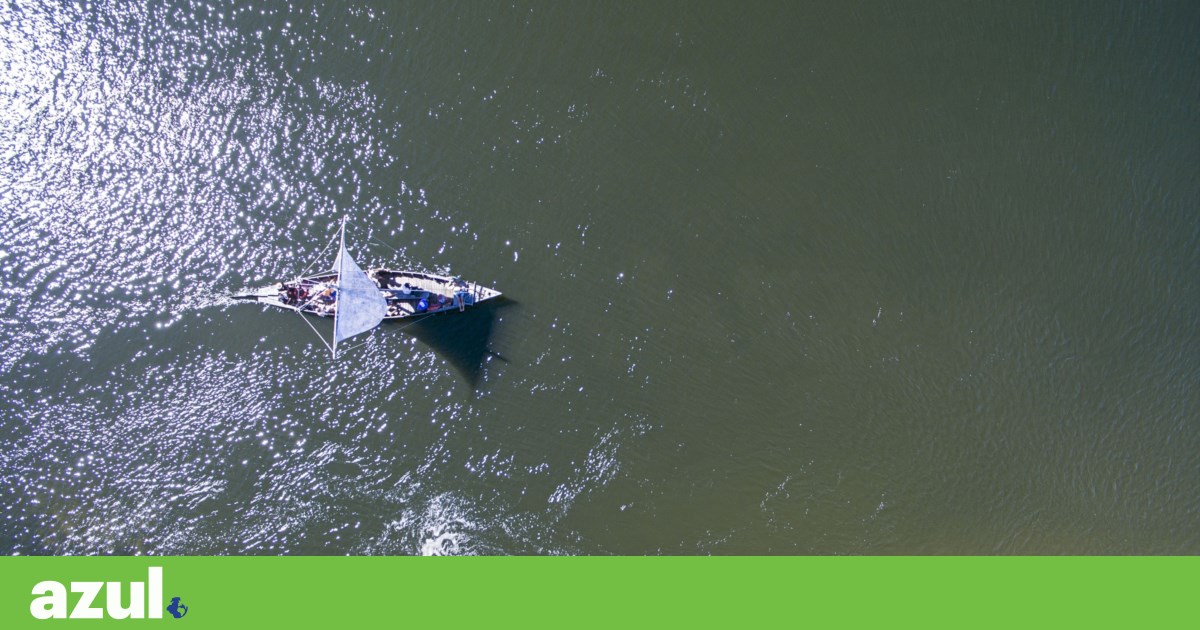 Zero warns of risks in Portugal from the revision of the Water Framework Directive