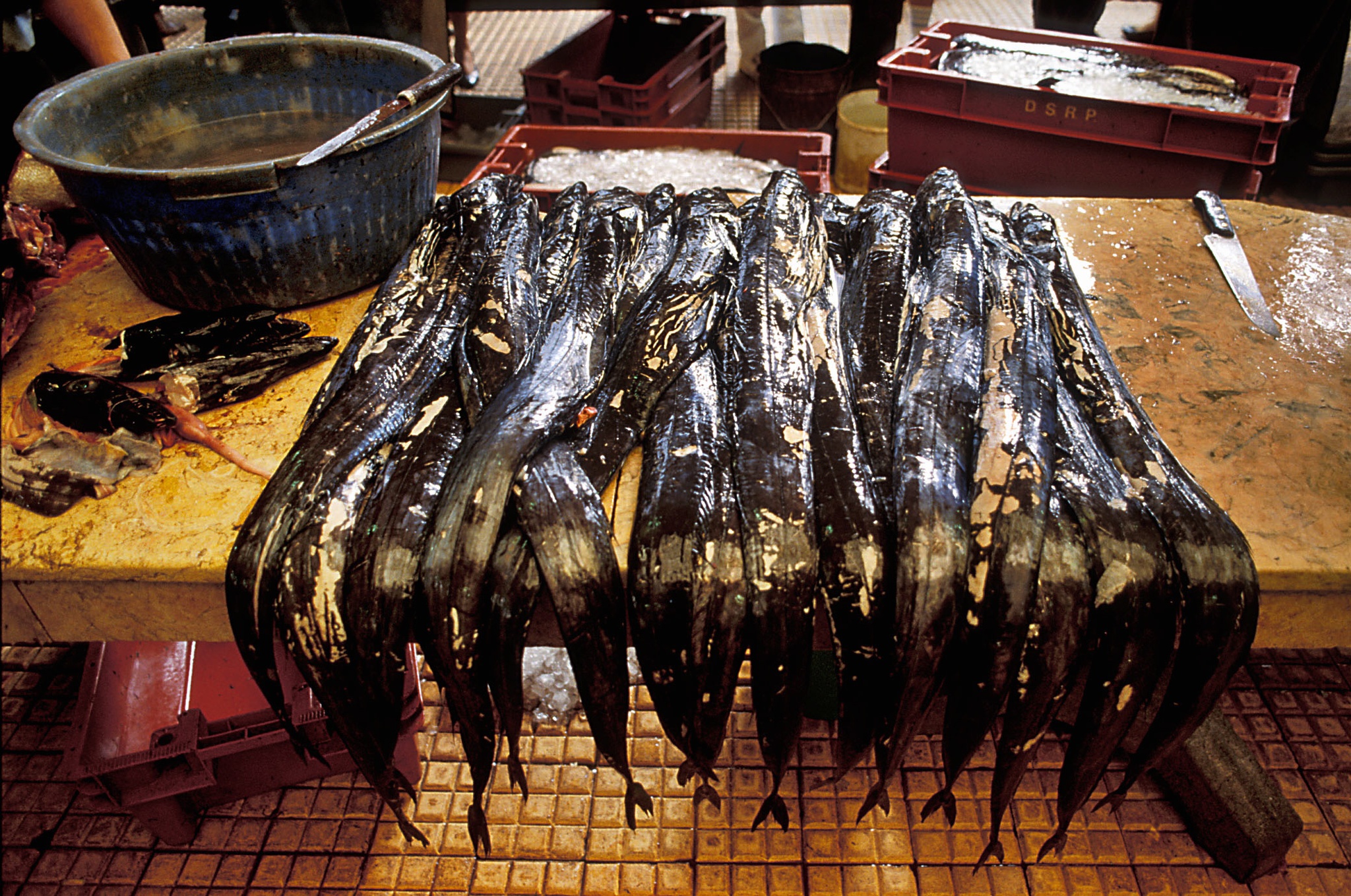 CARLOS LOPES -PEIXE ESPADA PRETO NO MERCADO DOS LAVRADORES DO FUNCHAL - NAO PUBLICADAS