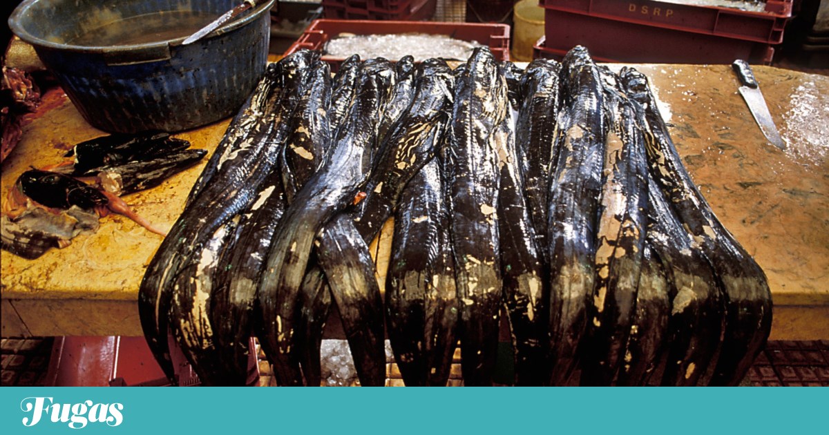 Fried or grilled? It is the most beautiful question when having a slice of black scabbardfish for lunch