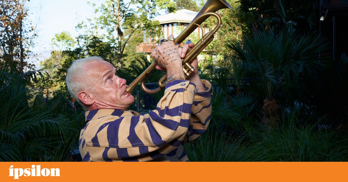 Flea spent two years learning the trumpet to be reborn on Honora at 63
