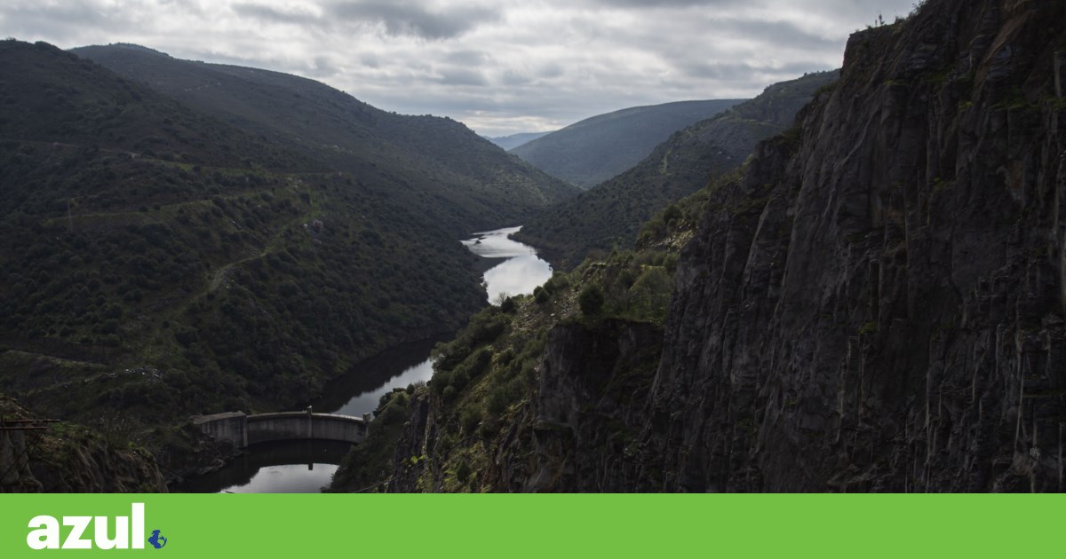 Obsolete barrier on the Côa river will indeed be partially or fully removed, says APA