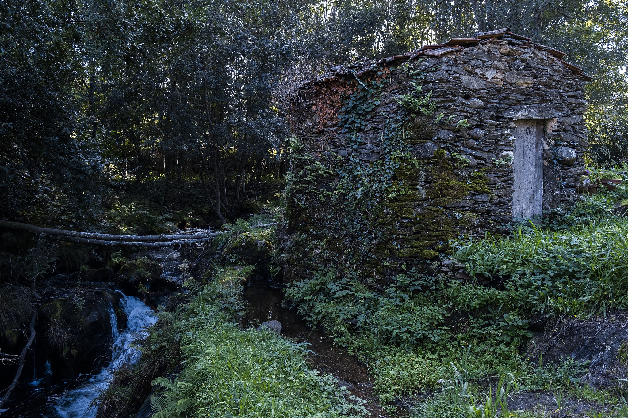 relaxar,pao,albergariaavelha,gastronomia,fugas,aveiro,