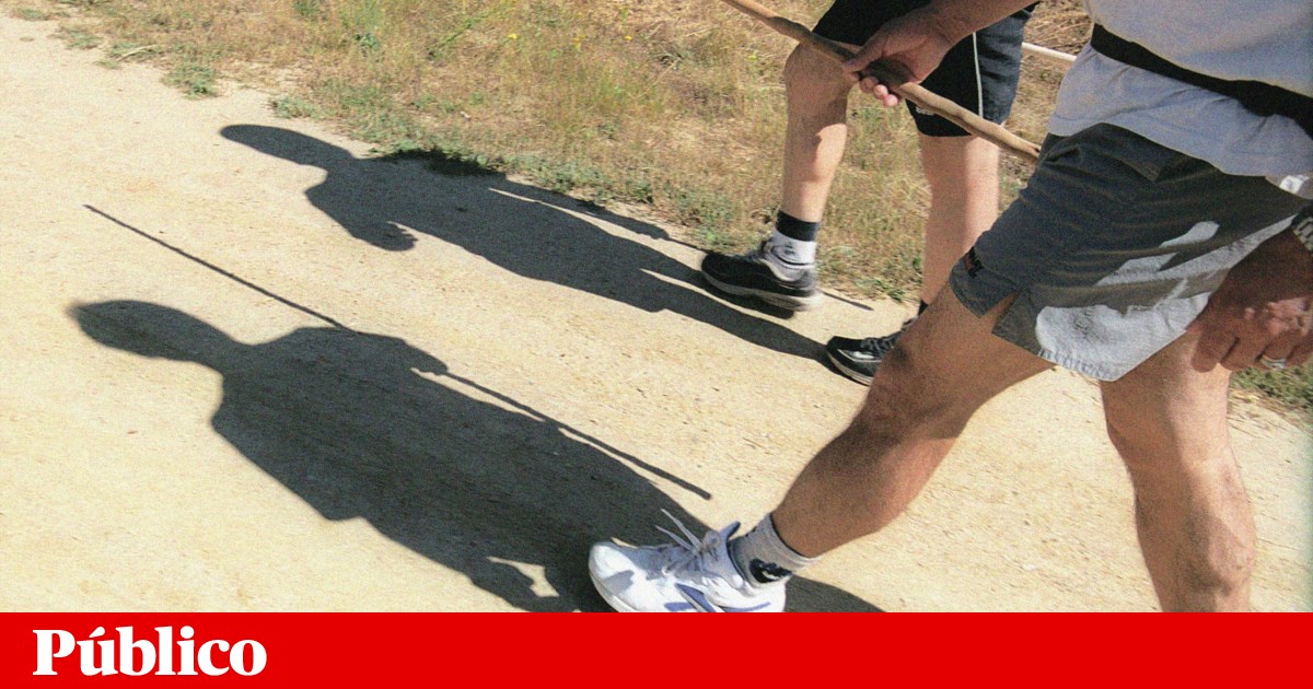 Physical exercise may reduce Alzheimer's risk. Scientists may have figured out why