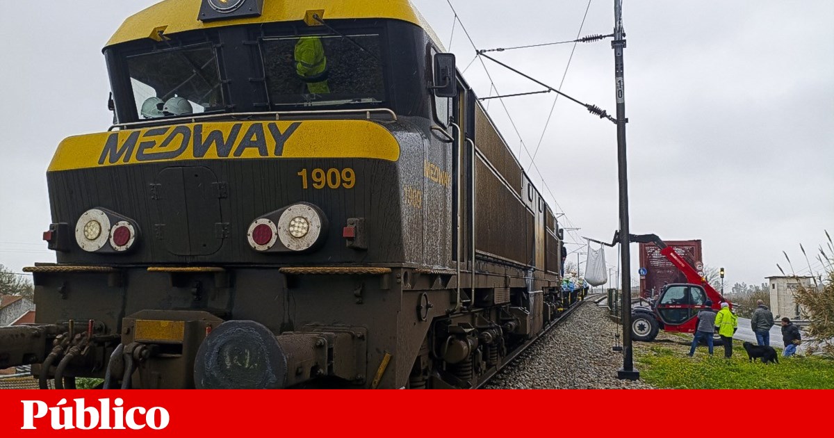 IP charges 167 euros to train that transported sandbags to prevent flooding in Ribatejo