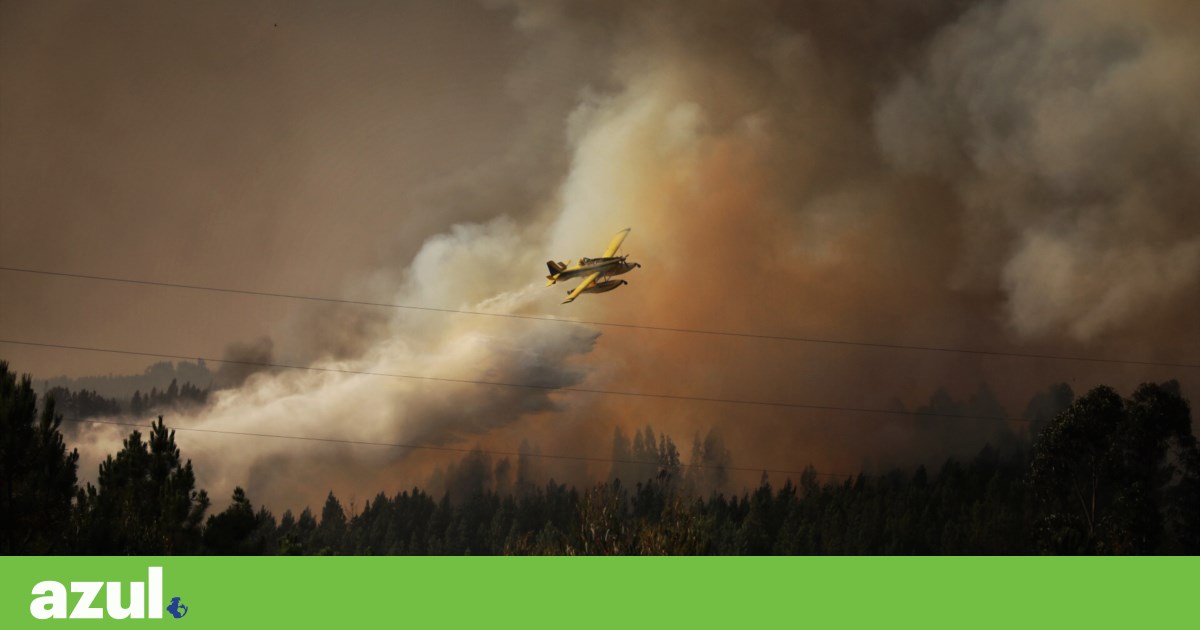 Europe is dangerously unprepared for worsening forest fires