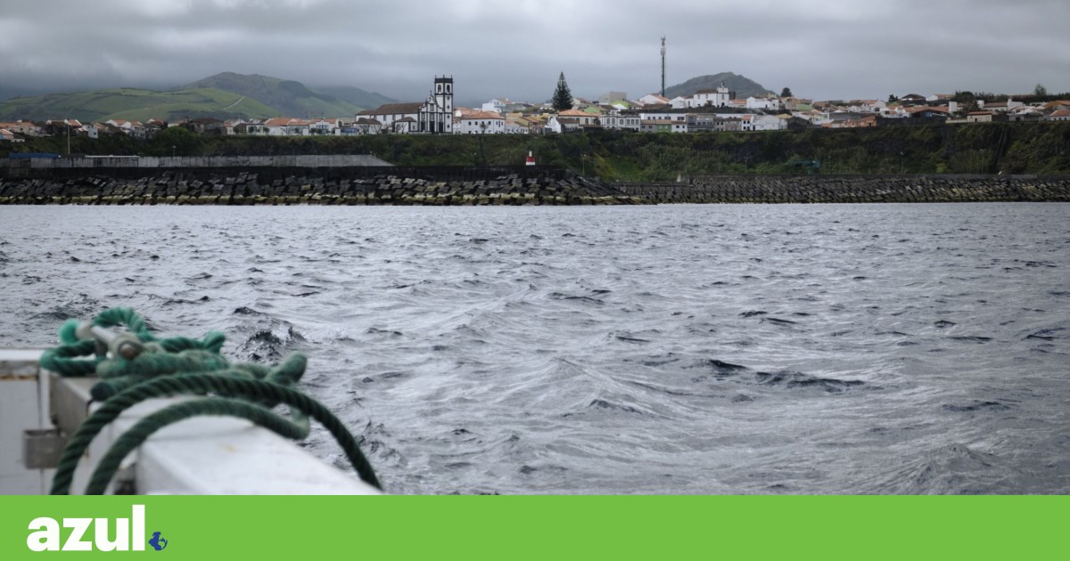 Azores coastal areas may only be protected within five years