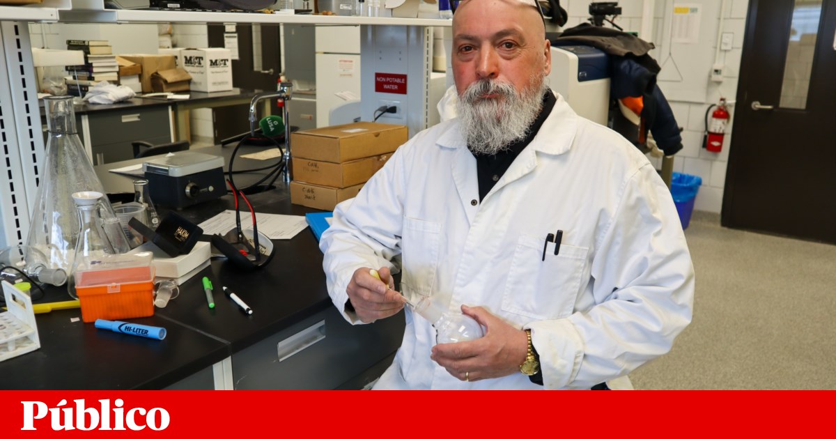 Portuguese-Canadian leads global progress on vaccine against bacteria that causes diarrhoea