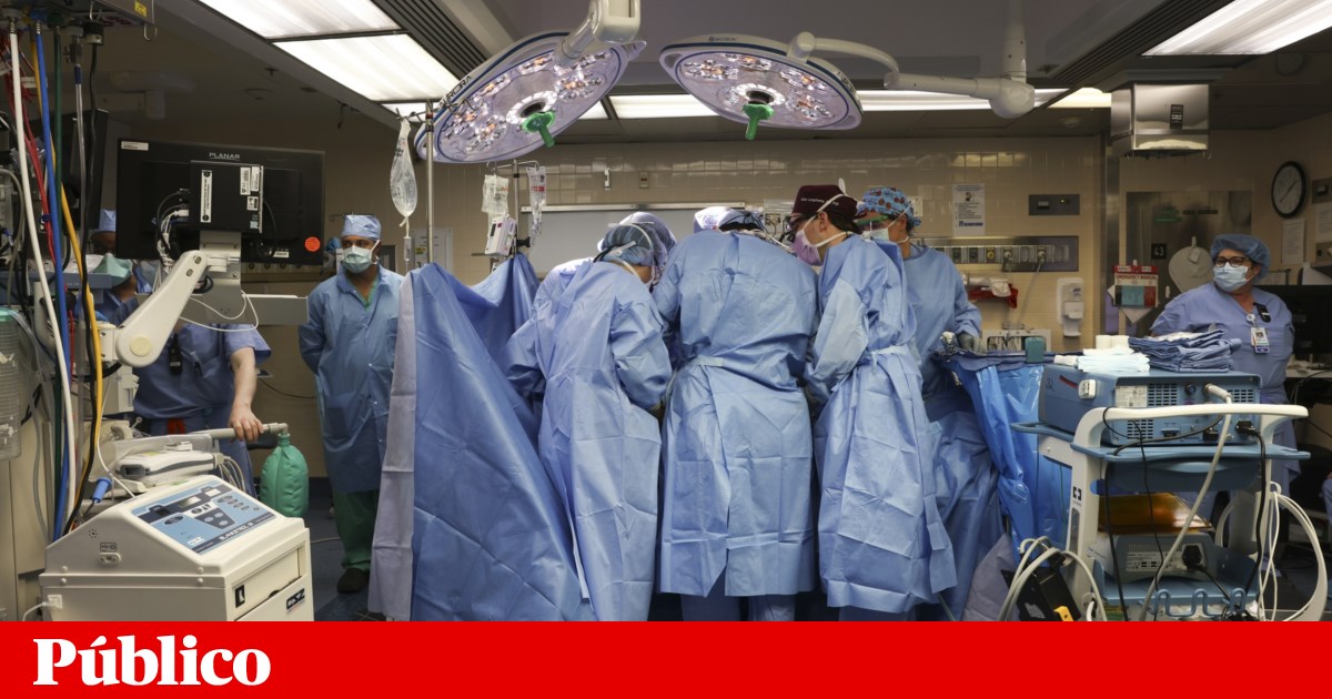 Catholics may receive organ transplants from animals, says the Vatican
