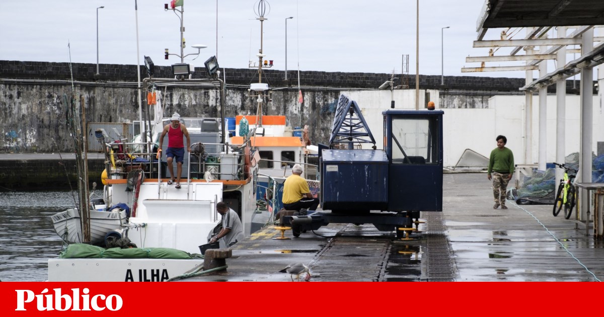 Governo prepara redução no gasóleo agrícola devido à subida de preços | Combustíveis Governo prepara redução no gasóleo agrícola devido à subida de preços | Combustíveis