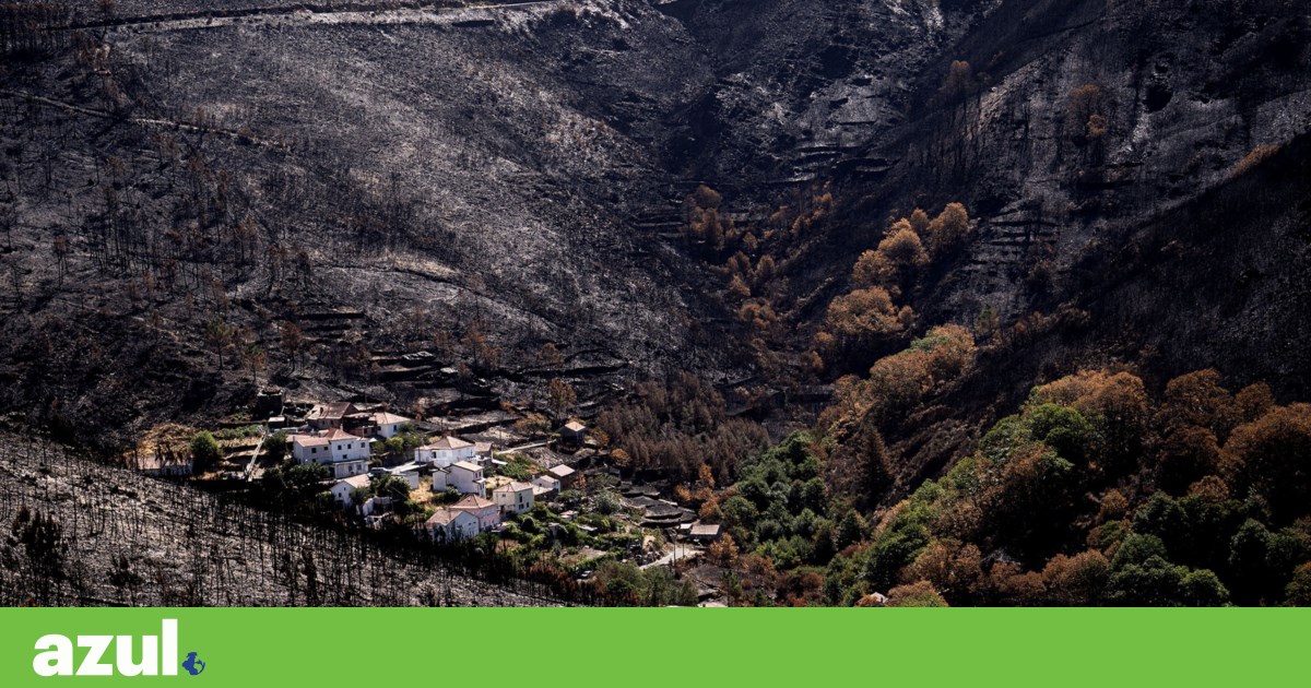After a dark year, Brussels proposes a European strategy to curb forest fires