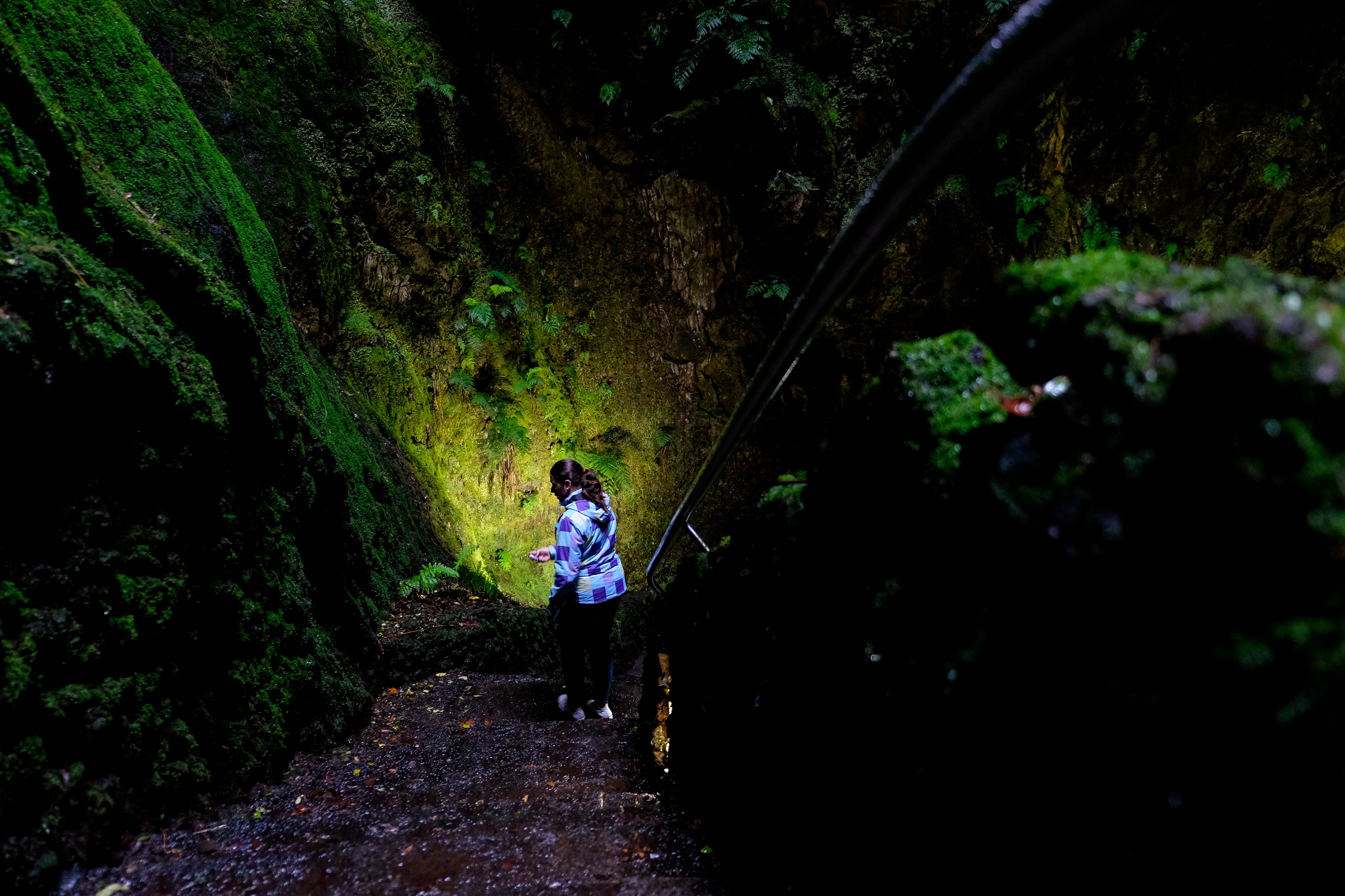 NFS Nuno Ferreira Santos - 29 a 31 maio 2016 - portugal, acores, ilha terceira - algar do carvao, visita ao interior de um vulcao