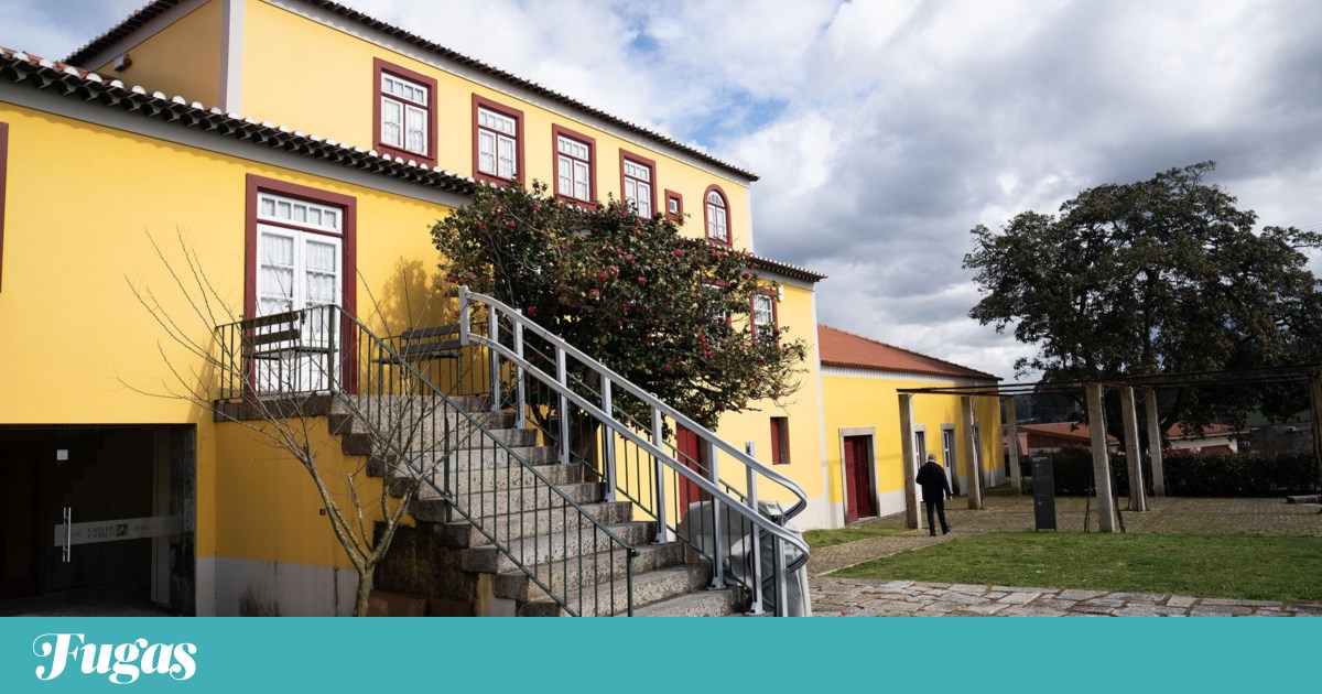 Camilo, a genius with a touch of the rogue, was more 'verdasco' and Port wine