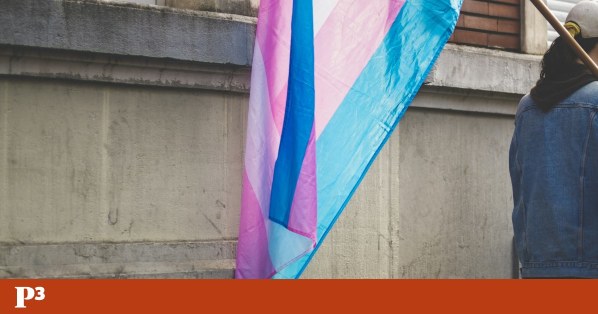 Democratic dysphoria: is the reversal of the gender identity law the will of the people?