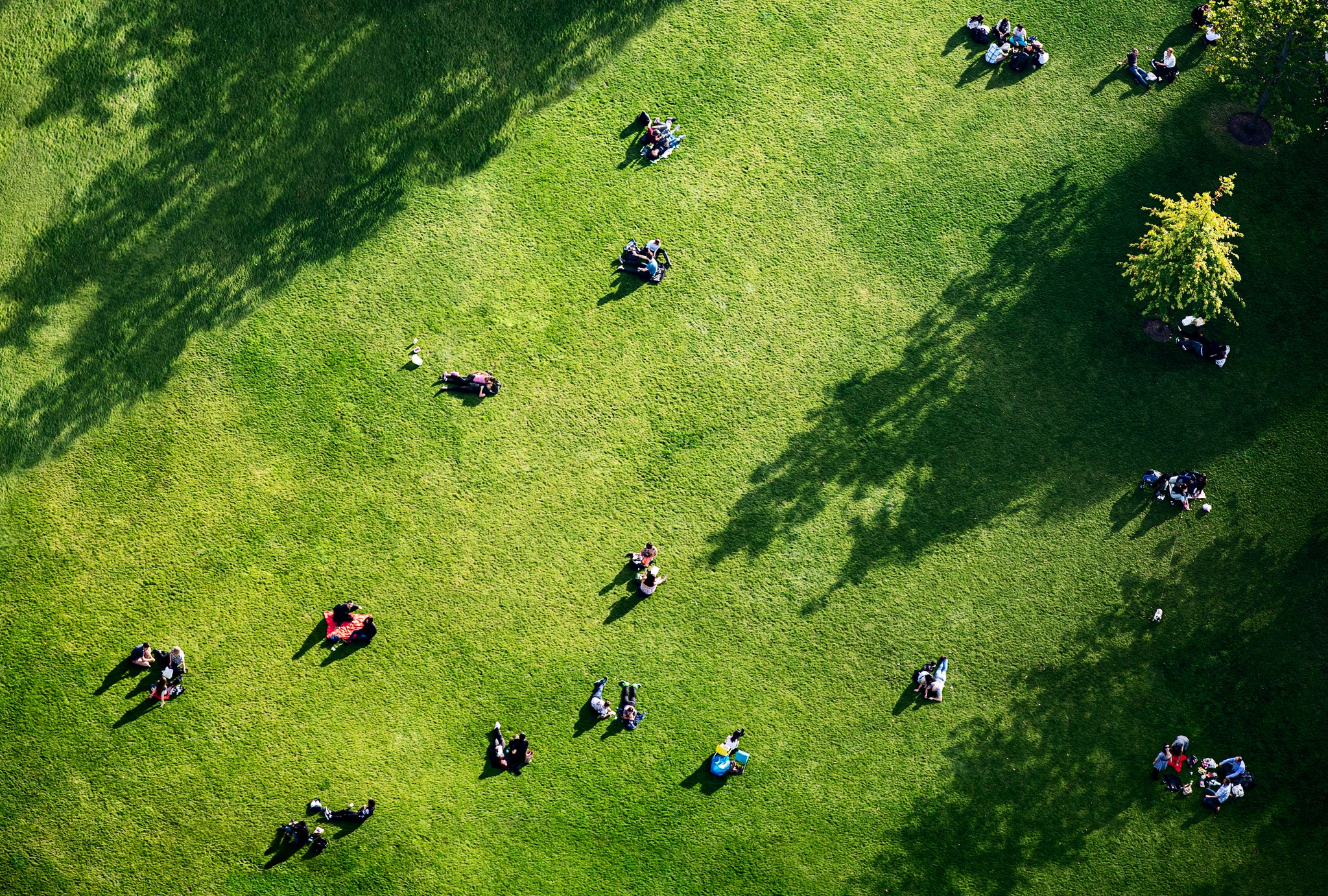Quando a natureza entra no consultório médico: investigadores têm plano de prescrição