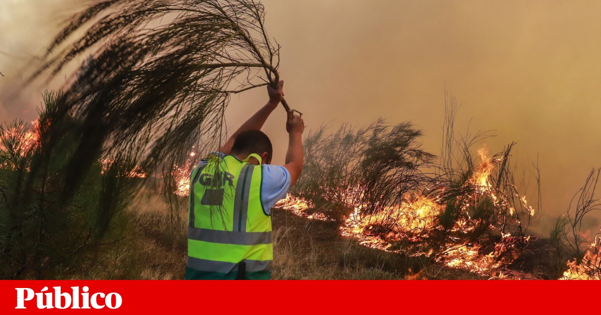 GNR arrests forest fire suspect in Tarouca