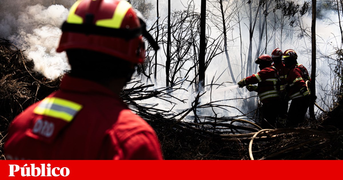 Over 100 firefighters battle blaze in Peneda-Gerês National Park