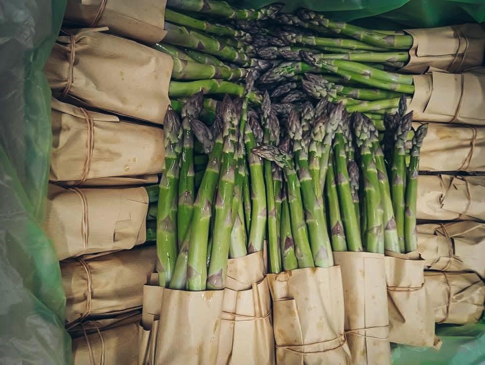 Look at the Asparagus! Lafões producer opens doors for one day to promote the crop