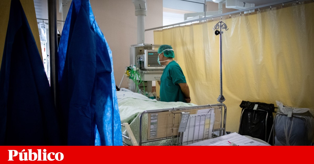 Transplants: Union demands 2.4 million per year from IPO Porto for teams