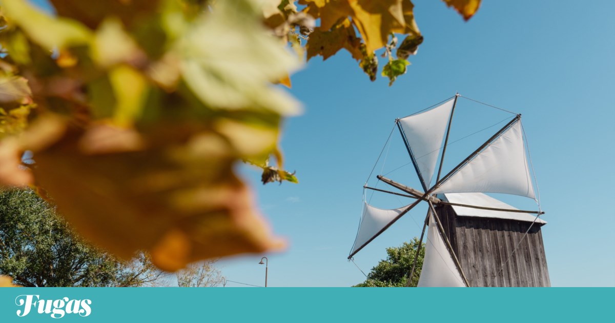 By waters, winds and tides: seven ideas for outings on National Windmill Day