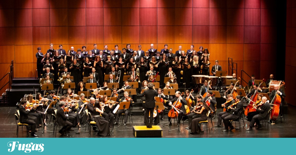 What to do? Wednesday is the day to listen to an Easter concert and Porto Legends